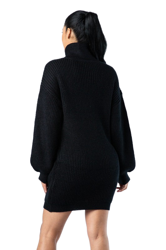 Black Turtleneck Mini Dress