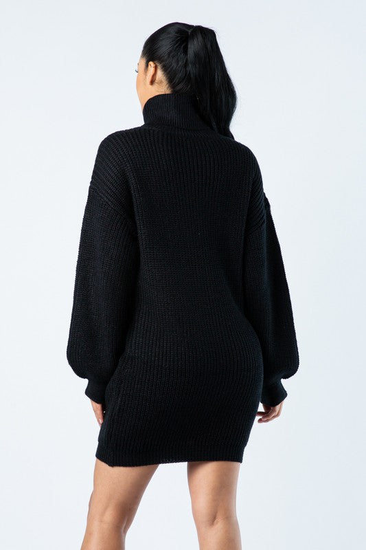 Black Turtleneck Mini Dress