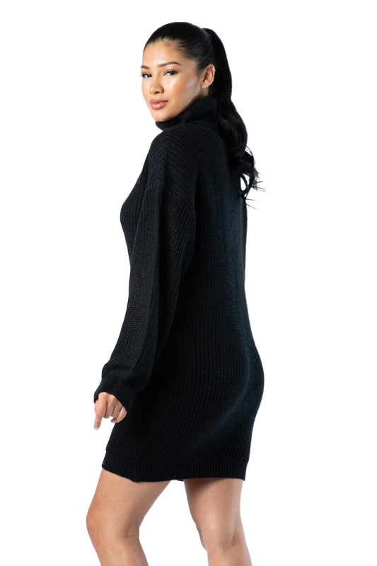 Black Turtleneck Mini Dress
