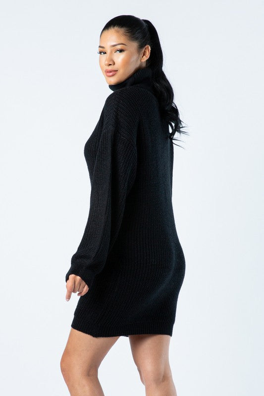 Black Turtleneck Mini Dress
