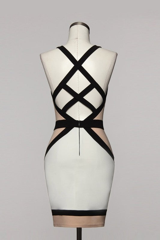 Ivory & Nude Colorblock Dress