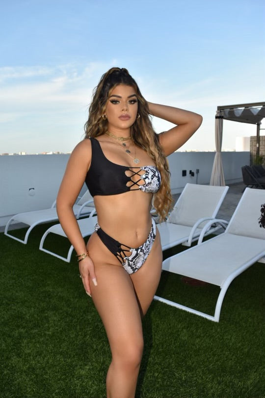 High Waist Snake Print Bikini Set