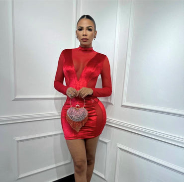 Velvet Panel Contrast Bodycon Dress